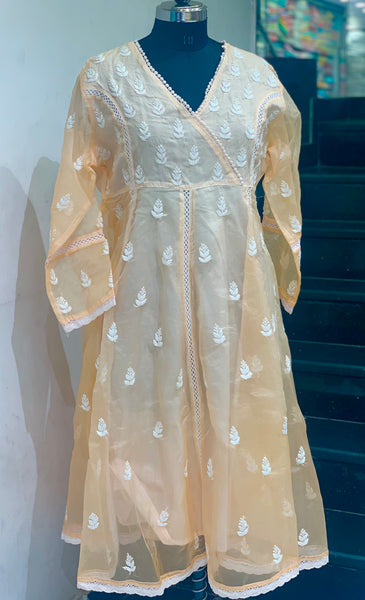 Chikankari organza Anarkali