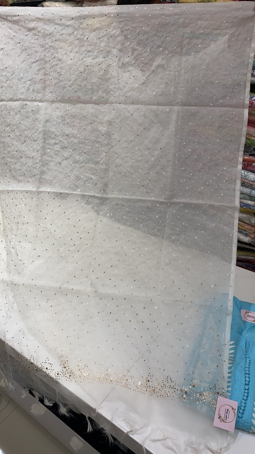 Veersons Organza Dupatta with Moquish Handwork